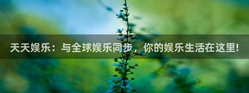 壹号大舞台官网