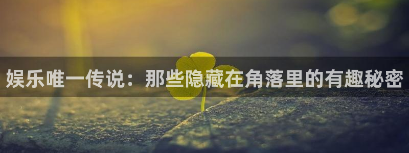 泰达娱乐平台官方入口下载