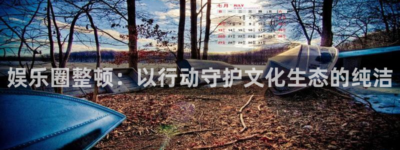 泰达娱乐官网版下载