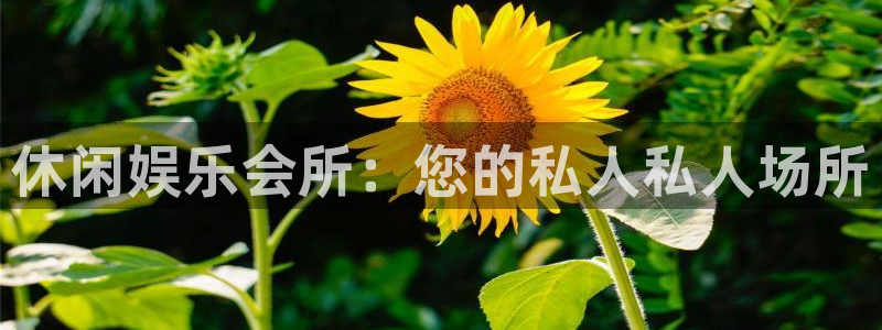 泰达娱乐官方网站