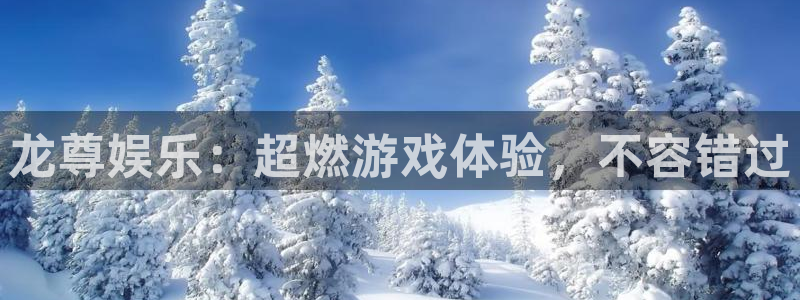 泰达娱乐官网下载