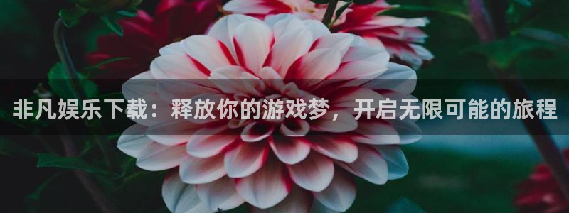 壹号大舞台官网