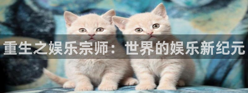 泰达娱乐vip麻将胡了