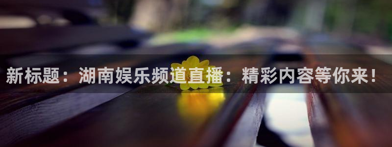 泰达娱乐电子游戏官网