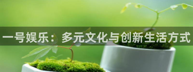 泰达娱乐链接