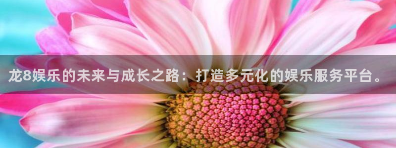 泰达娱乐官网