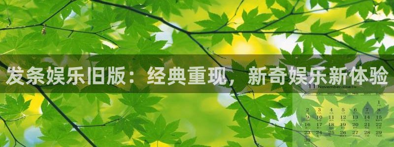 泰达娱乐官网入口