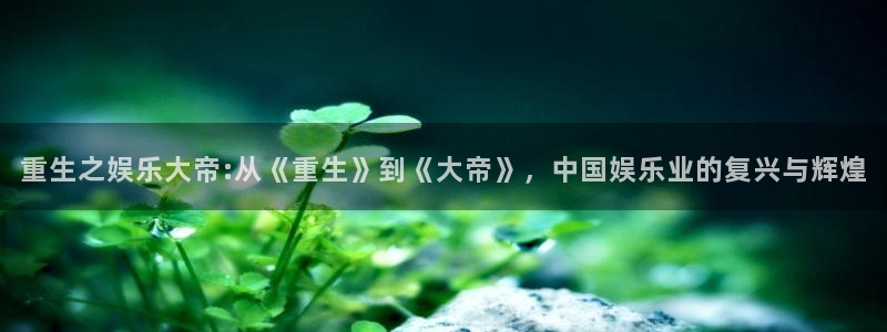 泰达娱乐是大平台吗
