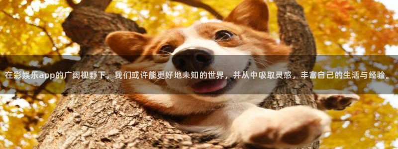 泰达娱乐app新版上线体验.游戏更新入口.中国