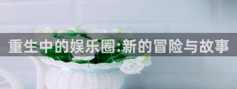 泰达娱乐赏金女王