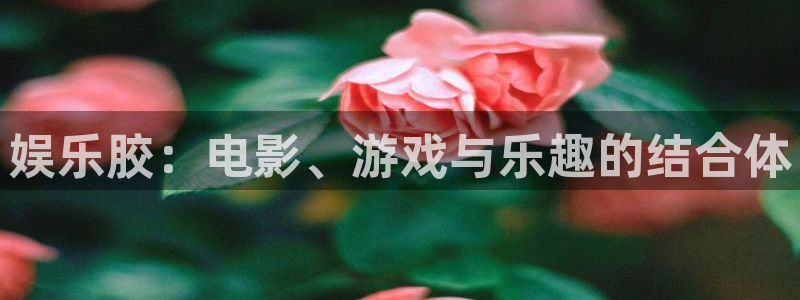泰达娱乐退款怎么退