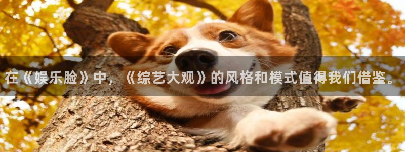 pg泰达娱乐平台下载入口