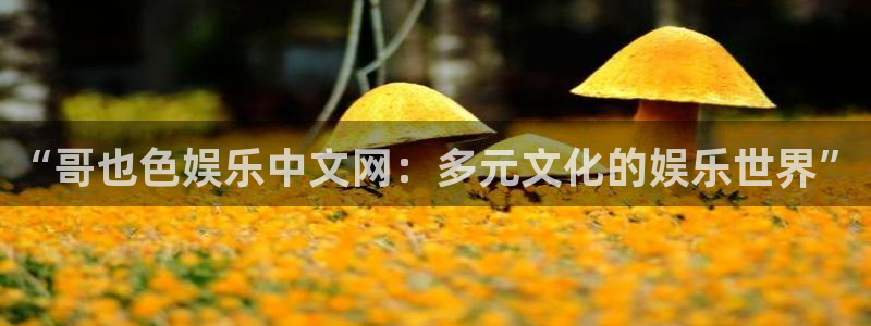 泰达娱乐官方网站