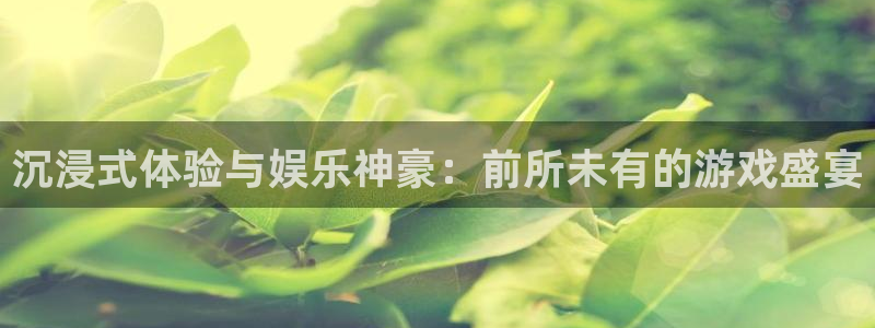 南宫泰达娱乐：沉浸式体验与娱乐神豪：前所未有的游戏盛宴