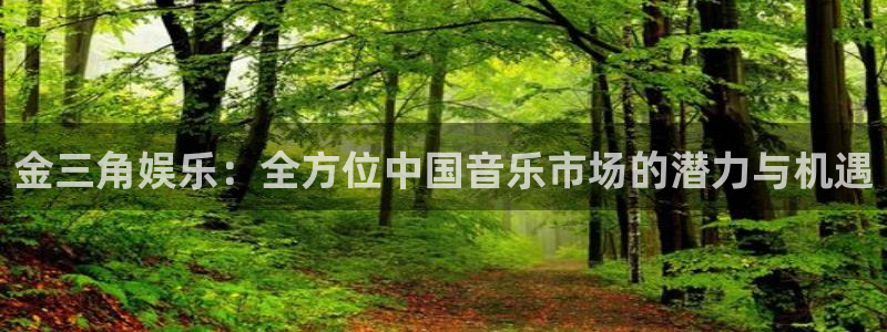 泰达娱乐游戏官网平台：金三角娱乐：全方位中国音乐市场的潜力与机遇