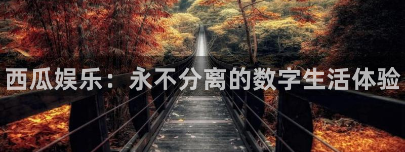 泰达娱乐平台官方网站：西瓜娱乐：永不分离的数字生活体验