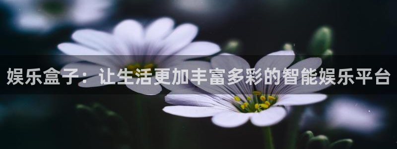 泰达娱乐官网地址：娱乐盒子：让生活更加丰富多彩的智能娱乐平台