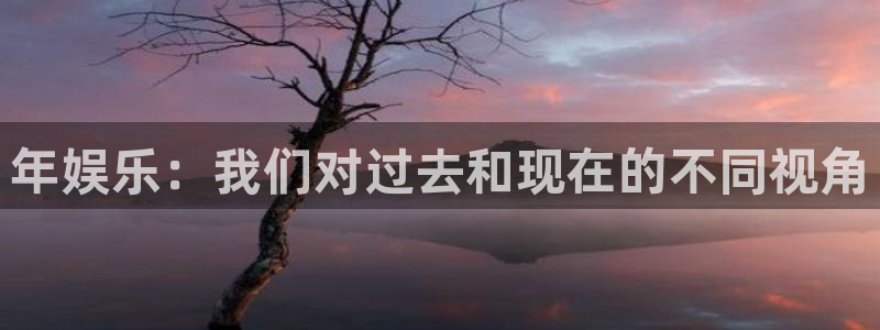 泰达娱乐平台官方入口：年娱乐：我们对过去和现在的不同视角