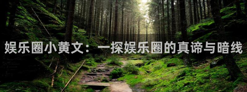 泰达娱乐分红代理计划：娱乐圈小黄文：一探娱乐圈的真谛与暗线