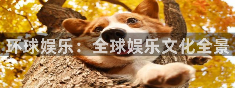 壹号平台下载：环球娱乐：全球娱乐文化全景